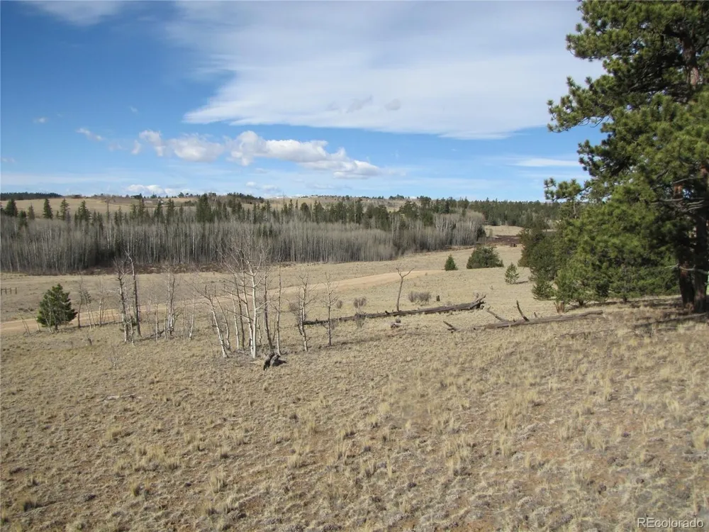 757 Remington Road Como, CO 80432