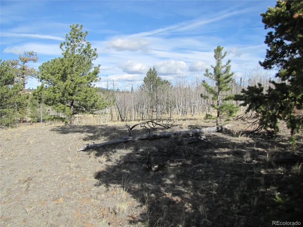 757 Remington Road Como, CO 80432