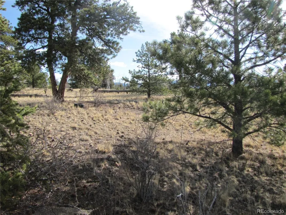 757 Remington Road Como, CO 80432