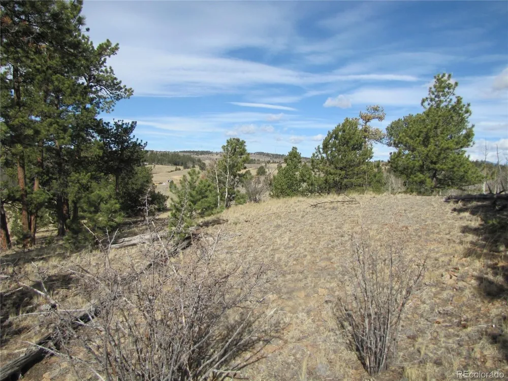 757 Remington Road Como, CO 80432