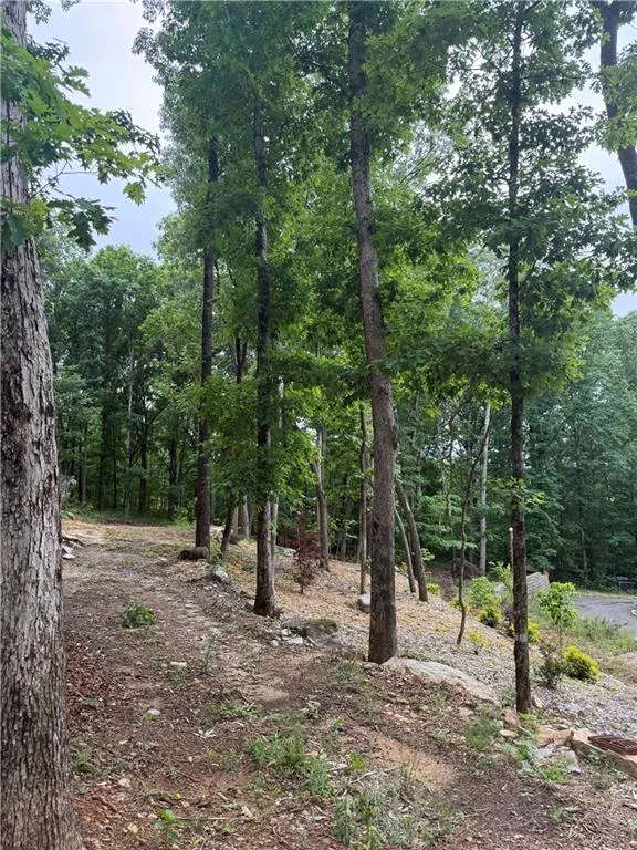 2426 E Maddox Road Buford, GA 30519