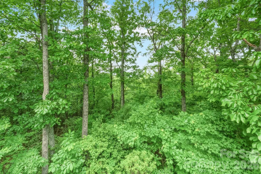 3190 Holly Road Connelly Springs, NC 28612