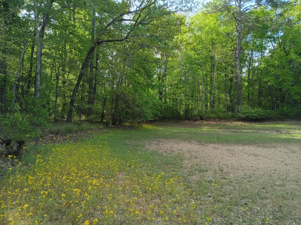 44 County Road 219 Decatur, TN 37322
