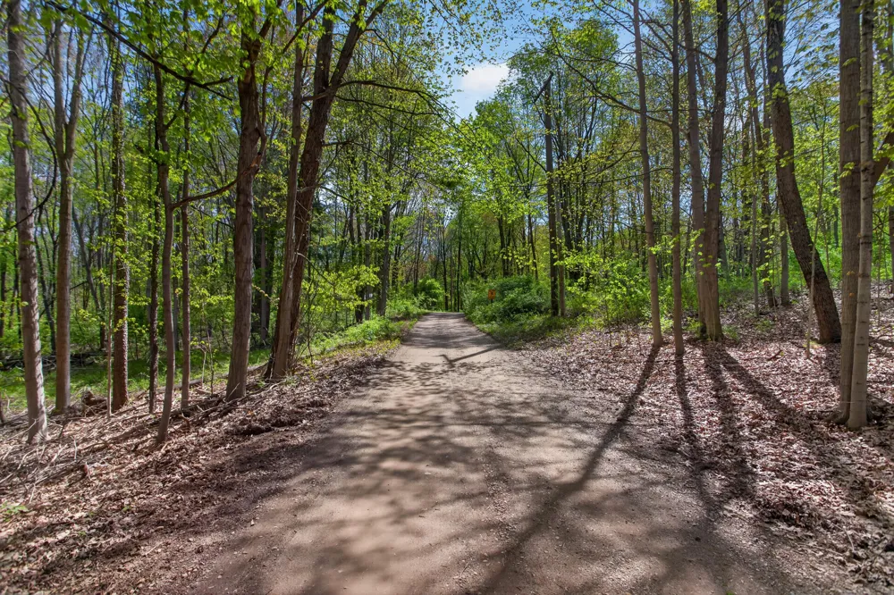 12001 Strait Road Hanover Township, MI 49241