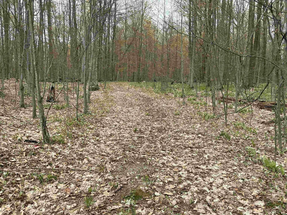 Zimmerman Road Clearwater Township, MI 49676