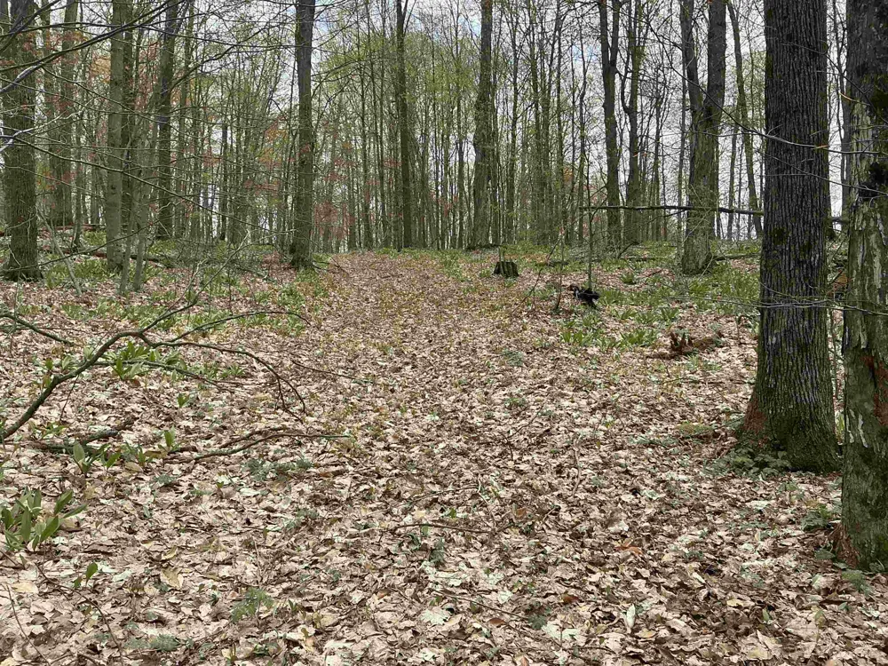 Zimmerman Road Clearwater Township, MI 49676