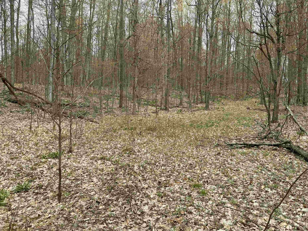 Zimmerman Road Clearwater Township, MI 49676