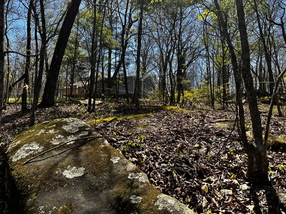1860 Plum Nelly Road Rising Fawn, GA 30738