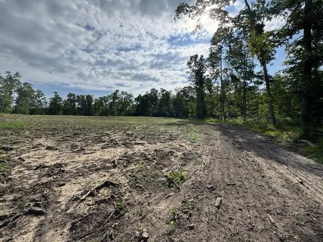 W Beeman Road Kasson Township, MI 49630