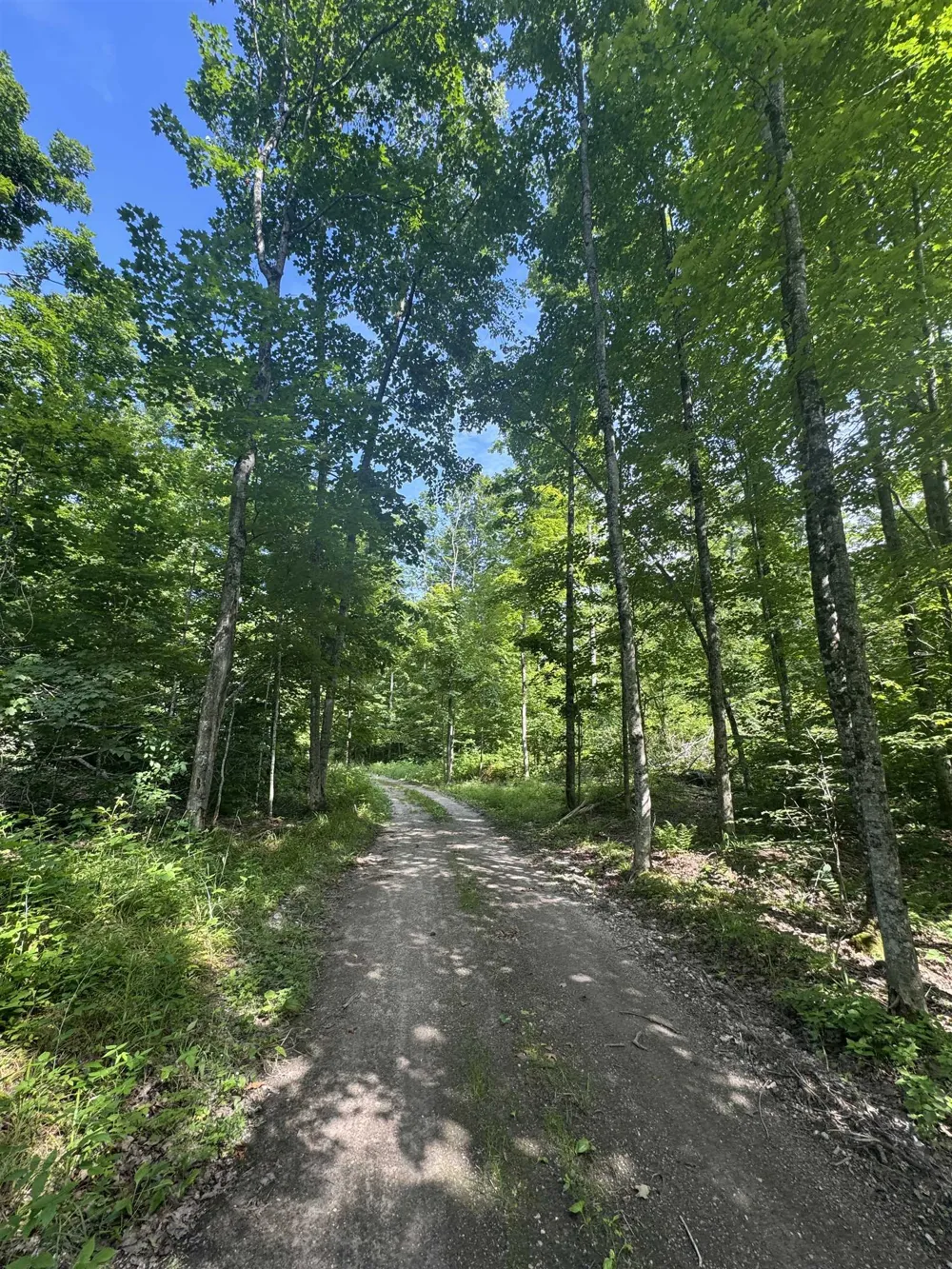 W Beeman Road Kasson Township, MI 49630