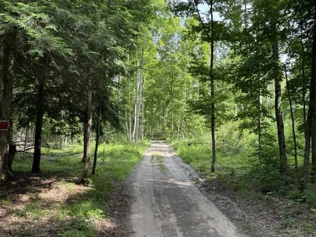 W Beeman Road Kasson Township, MI 49630