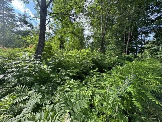 W Beeman Road Kasson Township, MI 49630