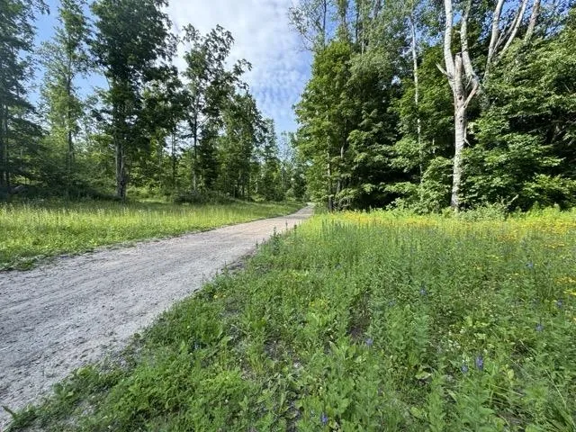 W Beeman Road Kasson Township, MI 49630
