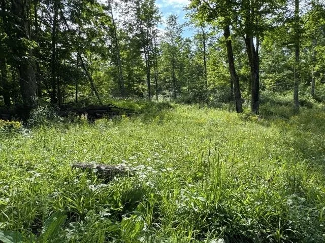 W Beeman Road Kasson Township, MI 49630