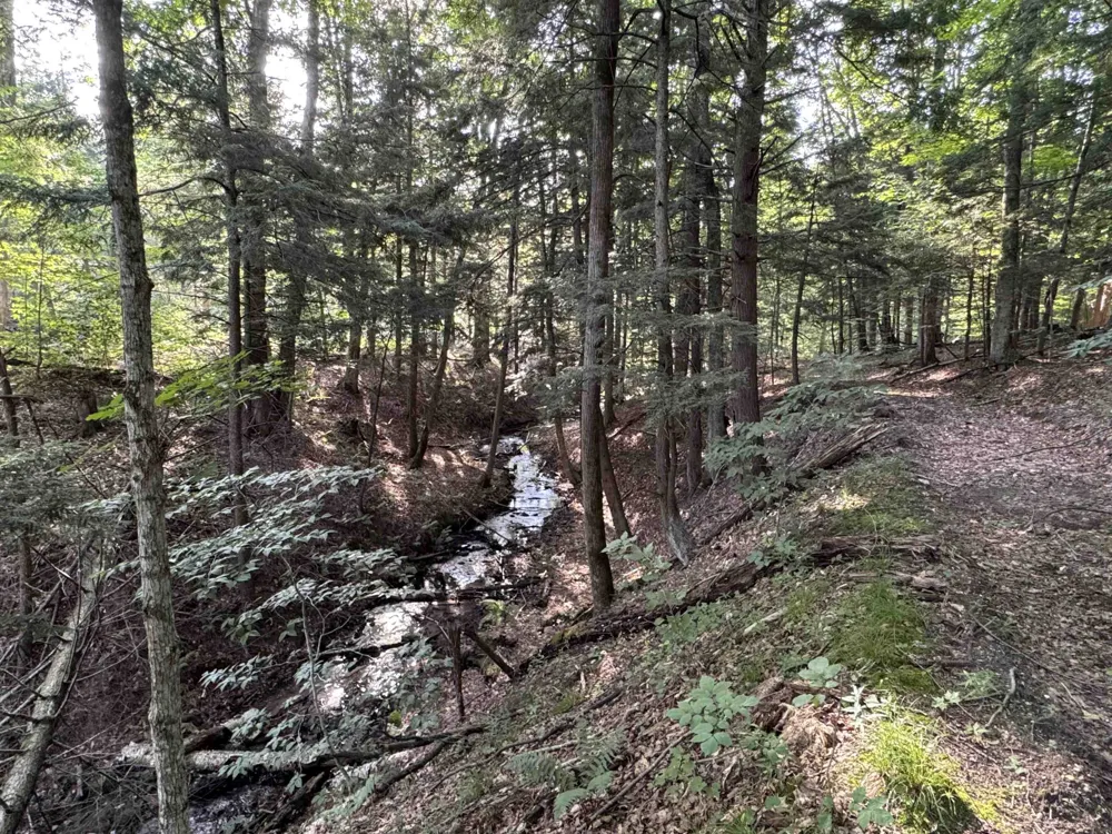 W Beeman Road Kasson Township, MI 49630