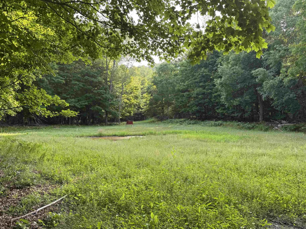 W Beeman Road Kasson Township, MI 49630