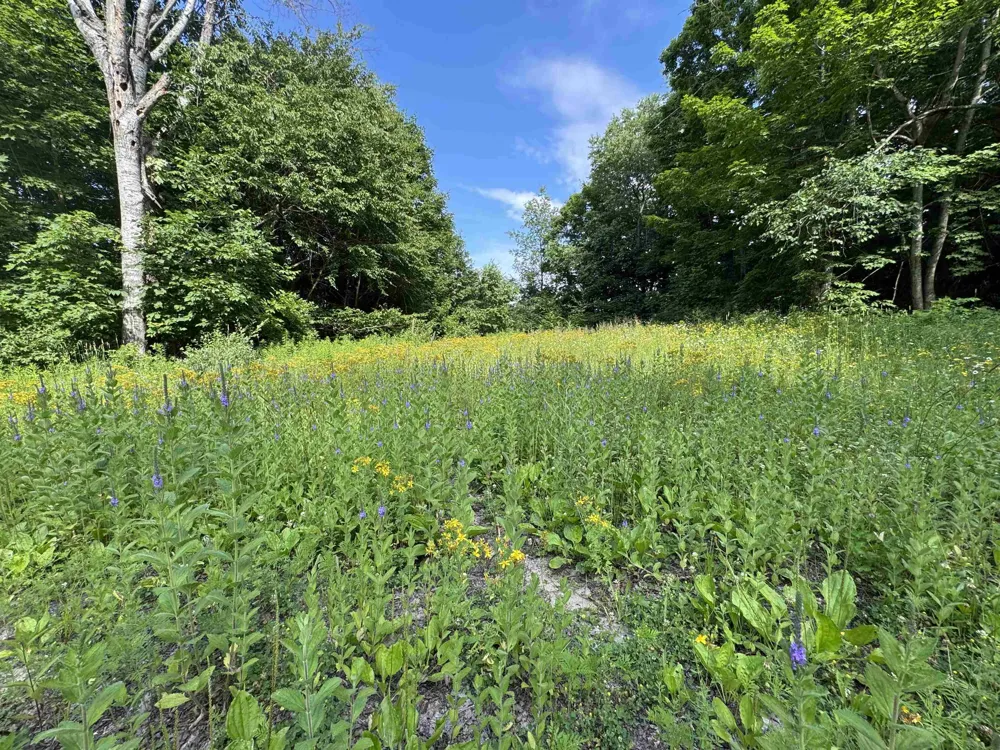 W Beeman Road Kasson Township, MI 49630
