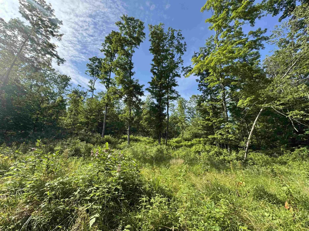 W Beeman Road Kasson Township, MI 49630