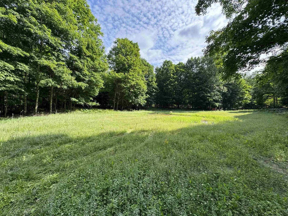 W Beeman Road Kasson Township, MI 49630