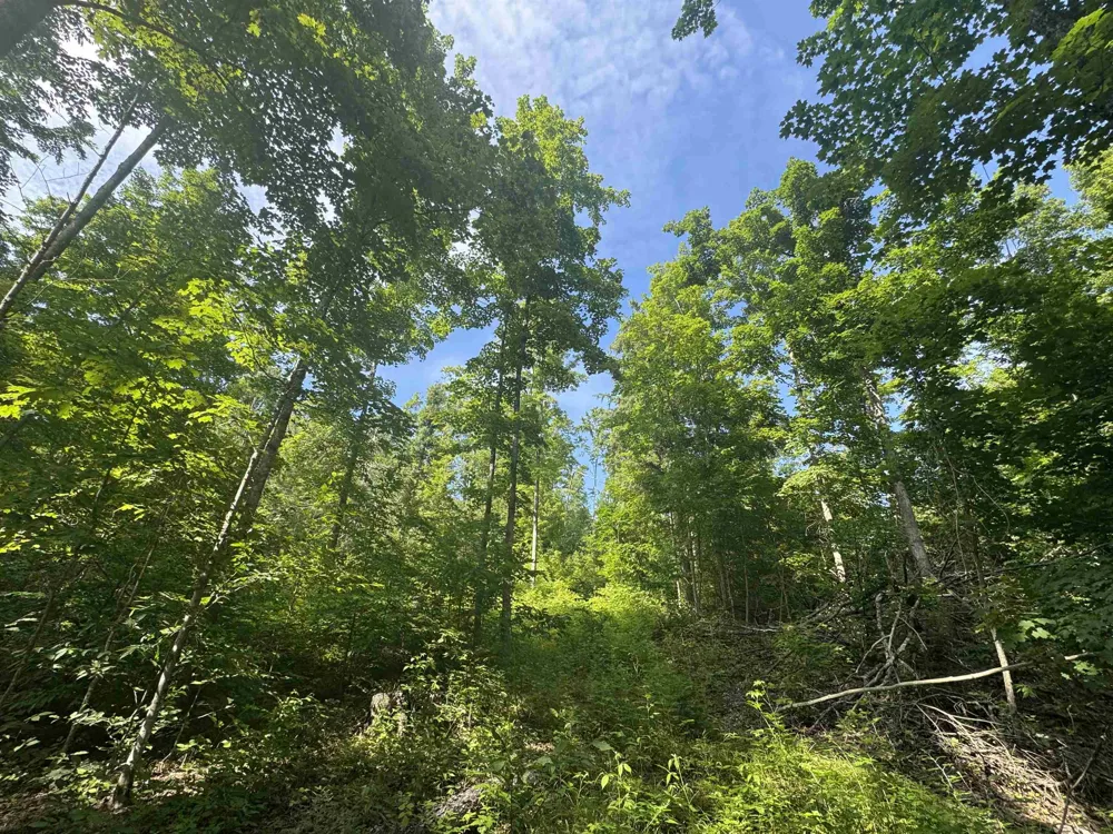W Beeman Road Kasson Township, MI 49630