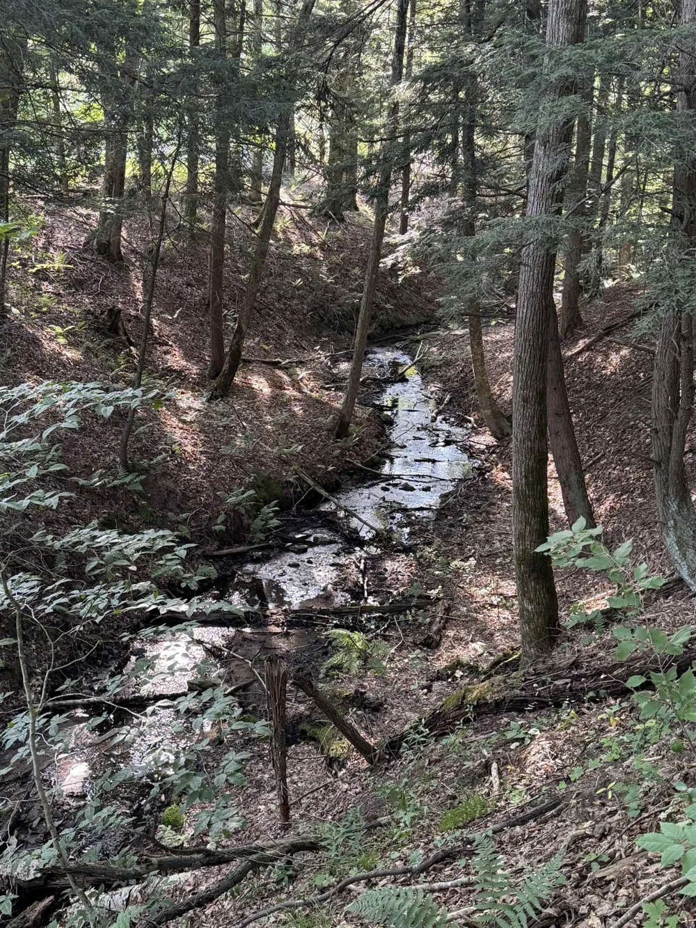 W Beeman Road Kasson Township, MI 49630