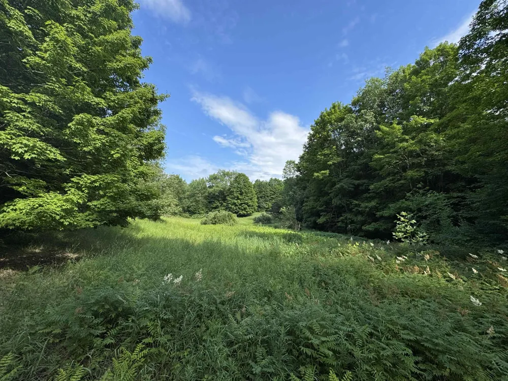 W Beeman Road Kasson Township, MI 49630