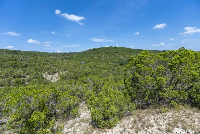 865 Arrowhead Pt Helotes, TX 78063