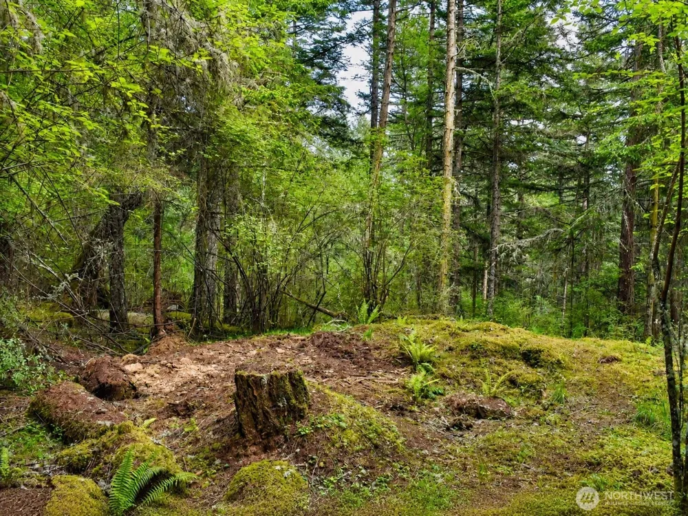 0 XXX Garden Lane Orcas Island, WA 98279