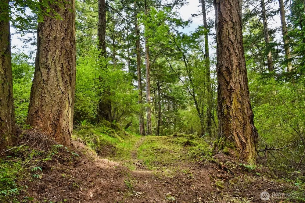 0 XXX Garden Lane Orcas Island, WA 98279