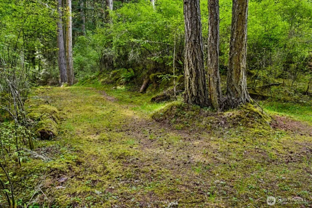 0 XXX Garden Lane Orcas Island, WA 98279