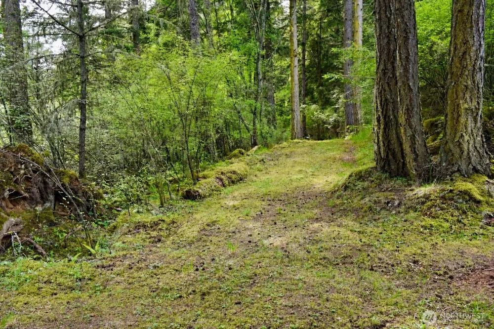 0 XXX Garden Lane Orcas Island, WA 98279