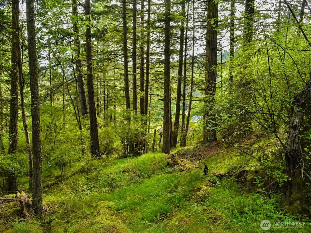 0 XXX Garden Lane Orcas Island, WA 98279
