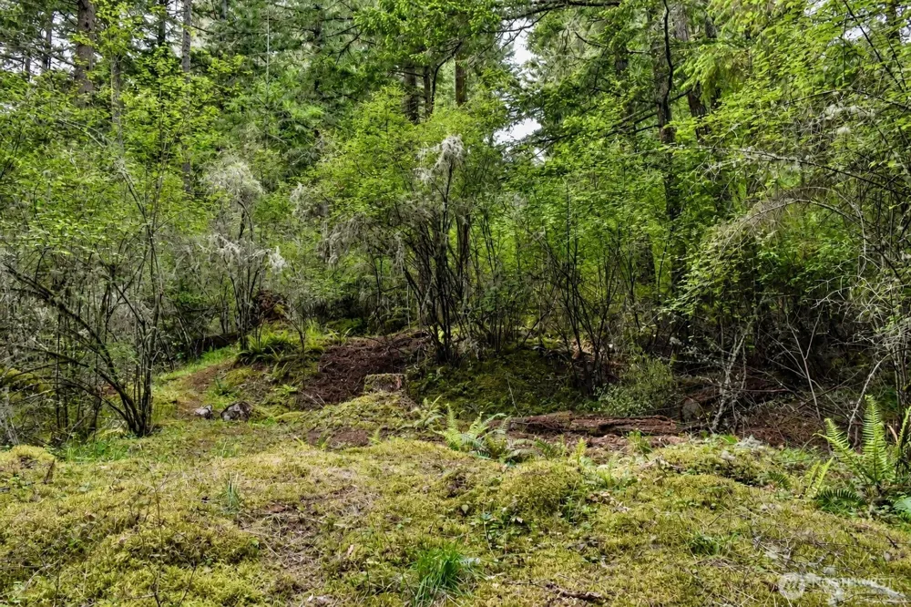 0 XXX Garden Lane Orcas Island, WA 98279