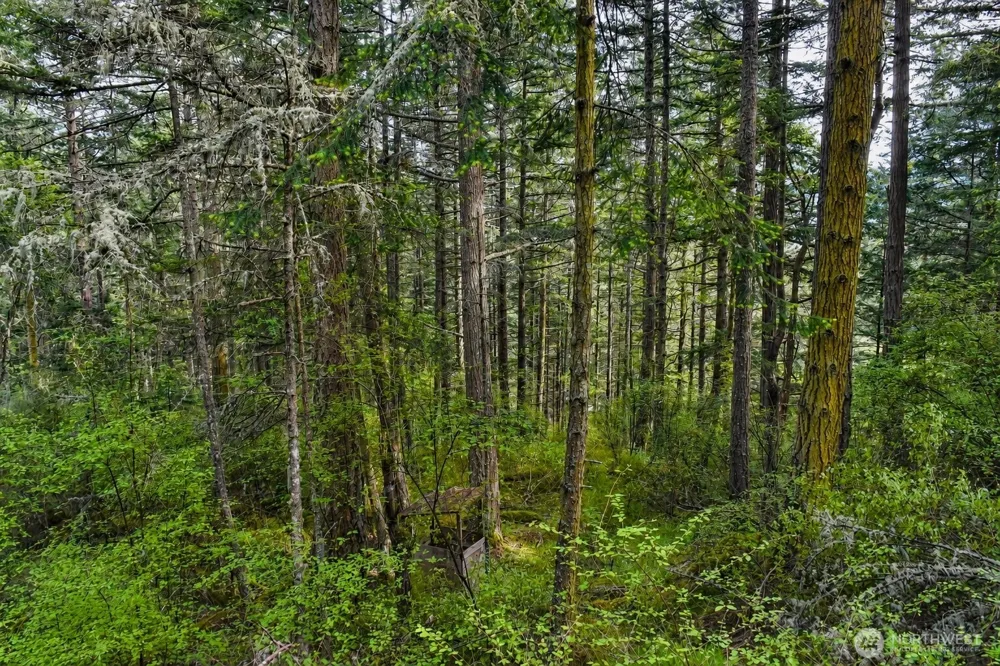 0 XXX Garden Lane Orcas Island, WA 98279