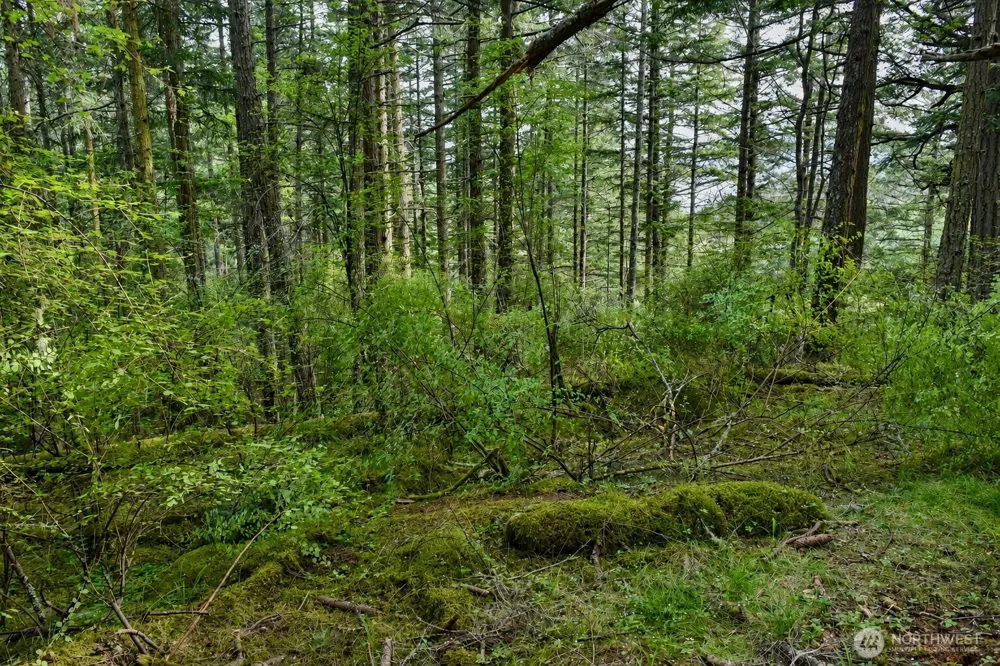 0 XXX Garden Lane Orcas Island, WA 98279