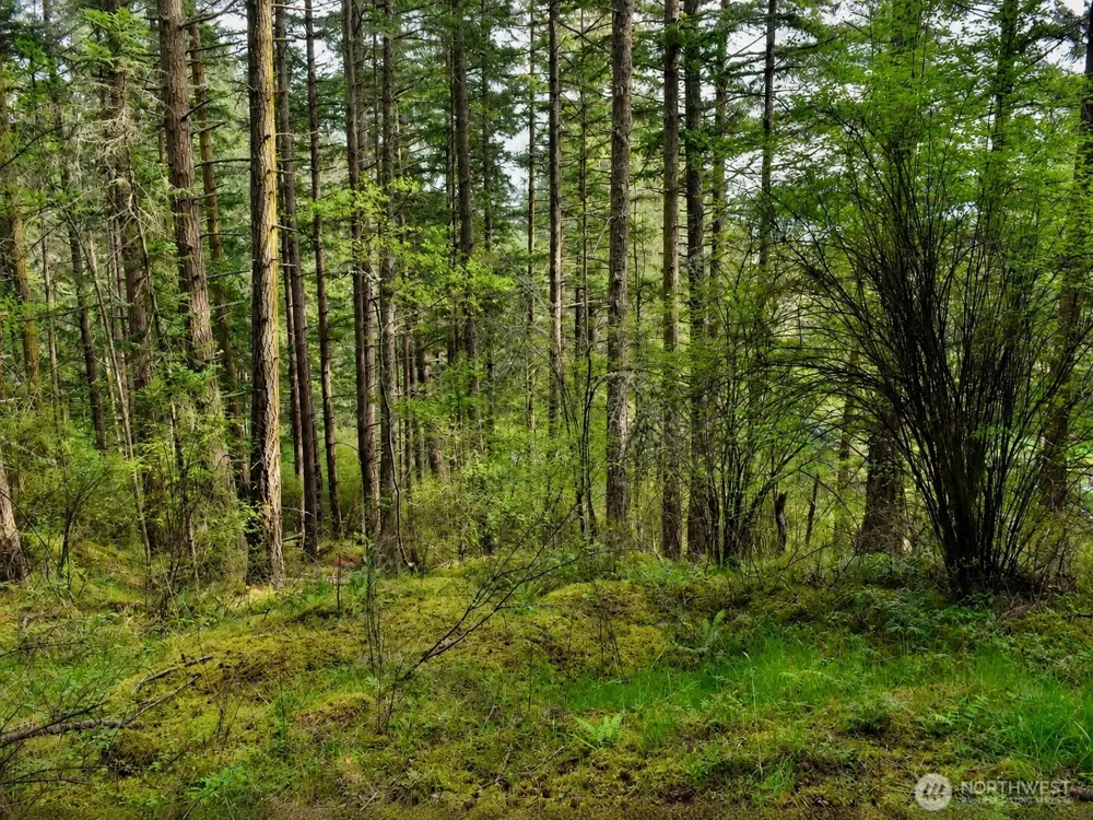 0 XXX Garden Lane Orcas Island, WA 98279