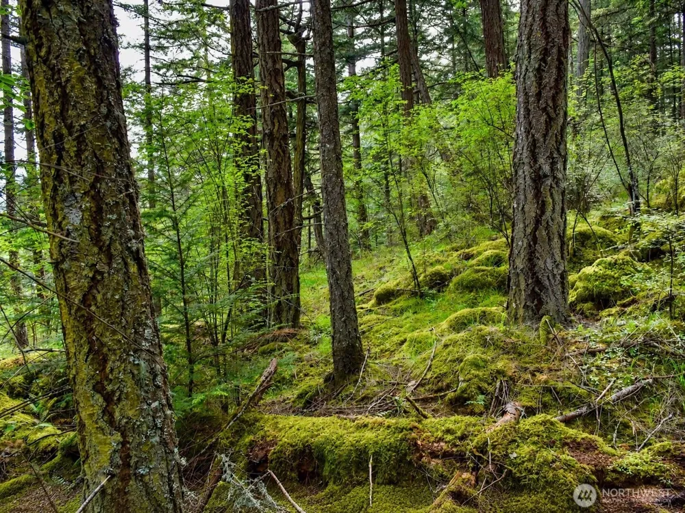 0 XXX Garden Lane Orcas Island, WA 98279