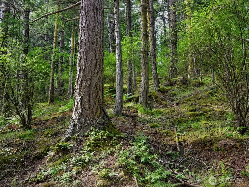 0 XXX Garden Lane Orcas Island, WA 98279