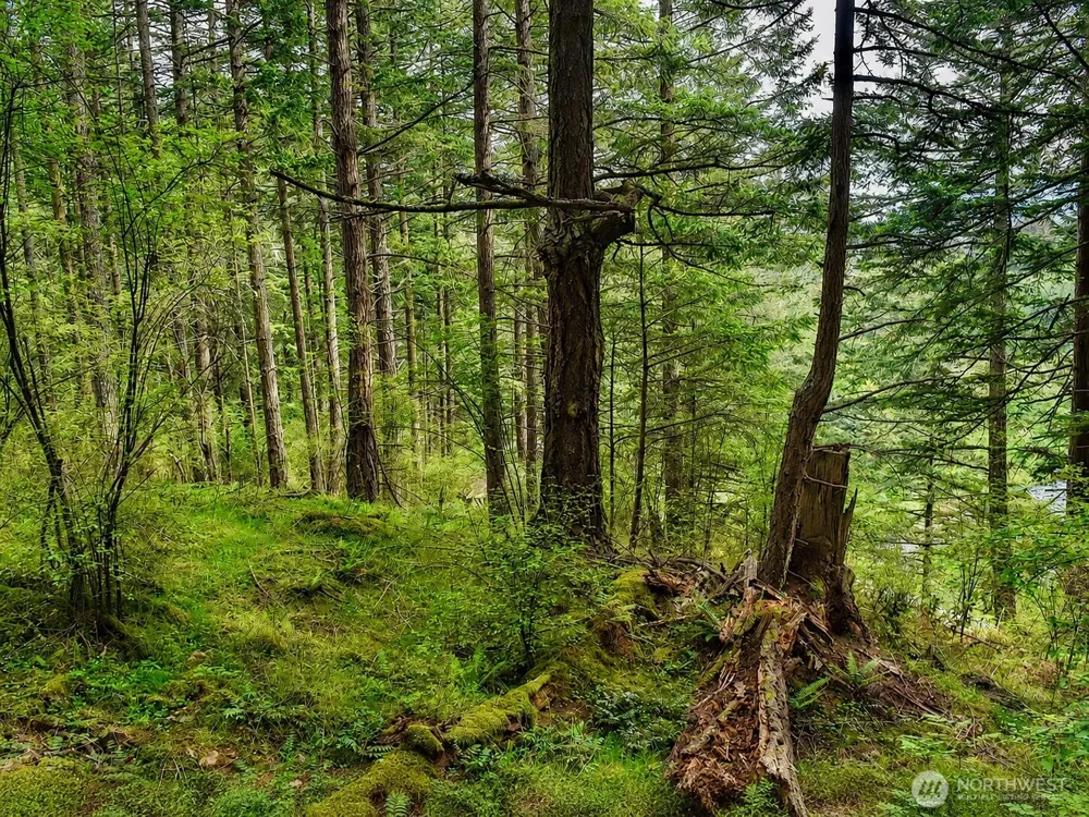 0 XXX Garden Lane Orcas Island, WA 98279
