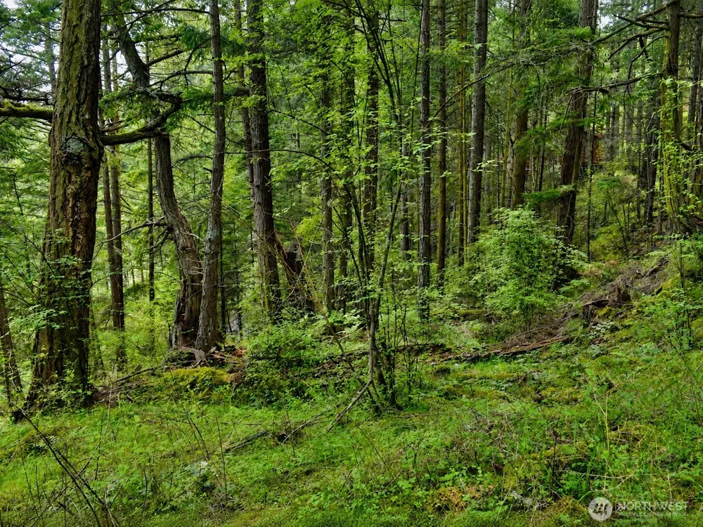 0 XXX Garden Lane Orcas Island, WA 98279