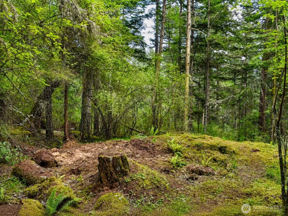 0 XXX Garden Lane Orcas Island, WA 98279