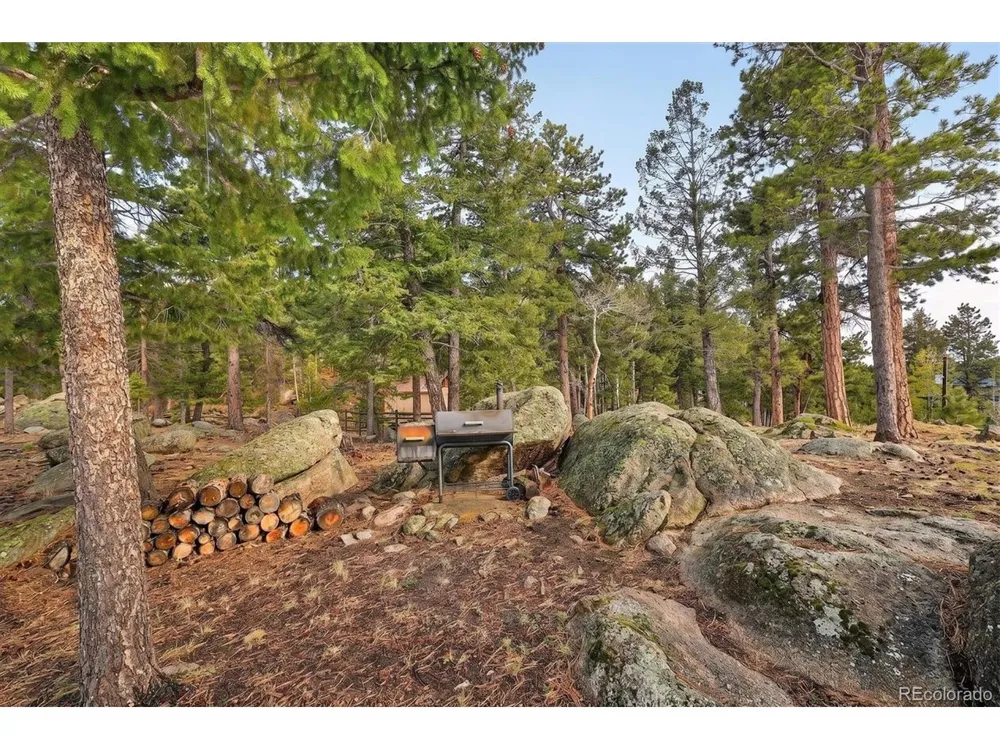8510 Bobsled Trail Morrison, CO 80465