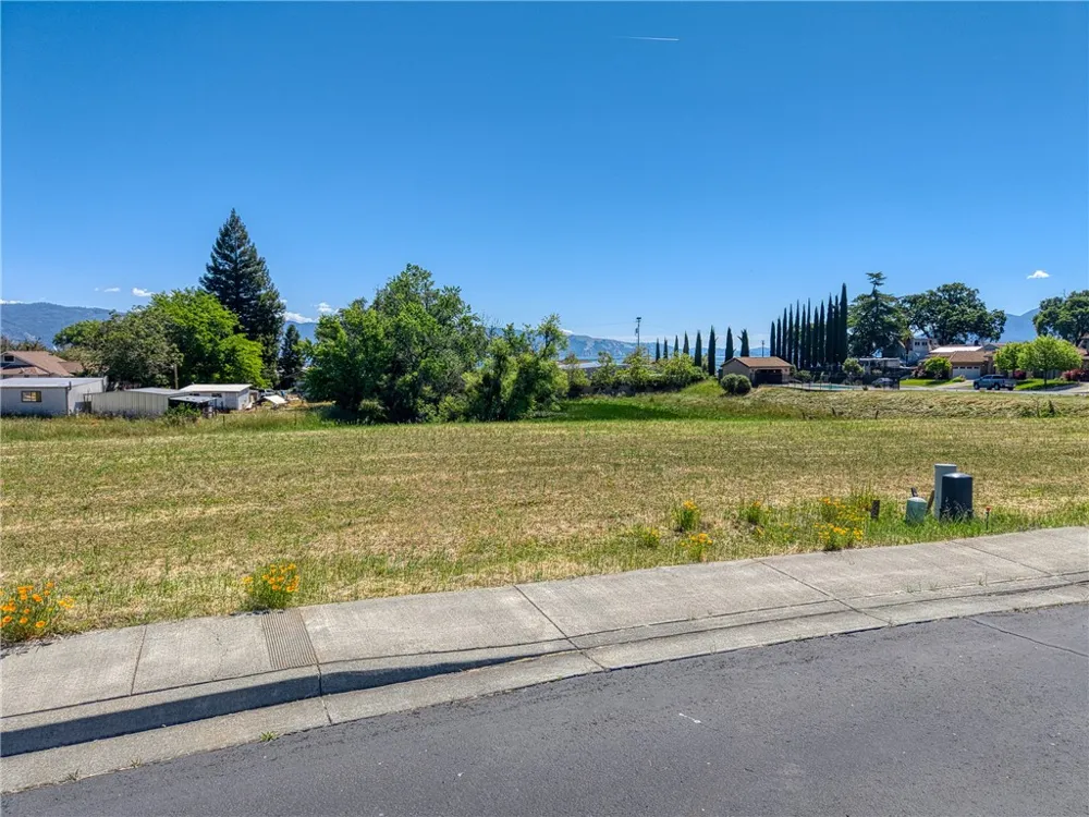 2770 Lizzy Lane Lakeport, CA 95453