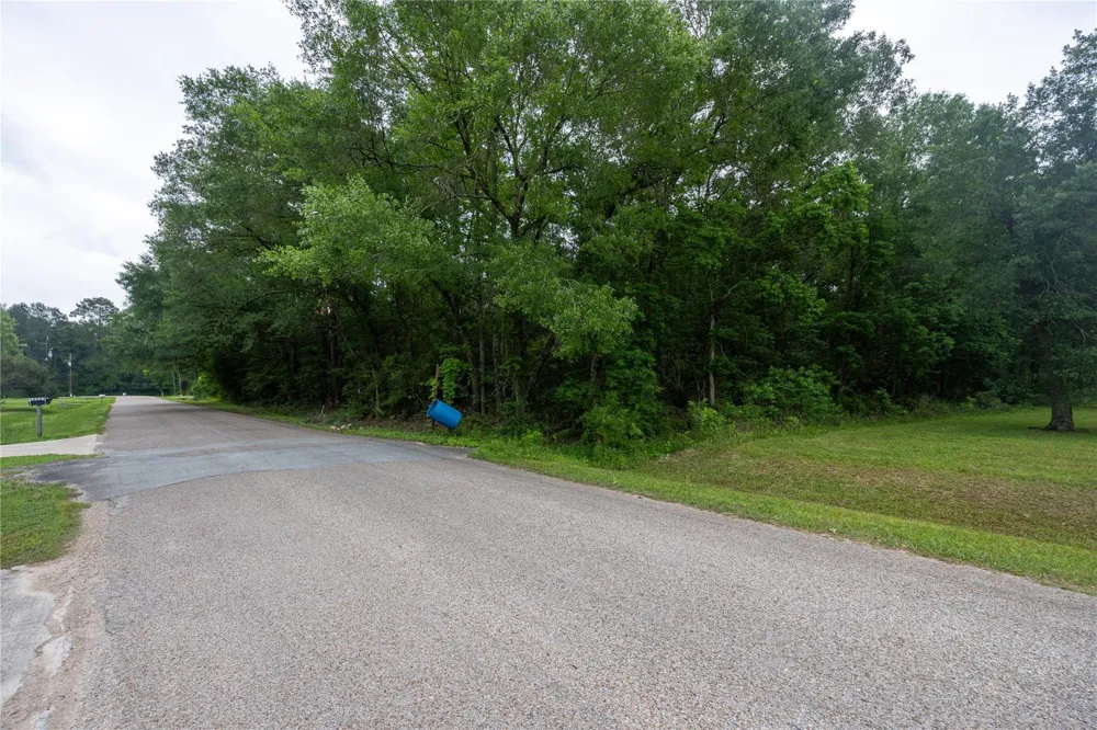Lazy Lane Porter, TX 77365
