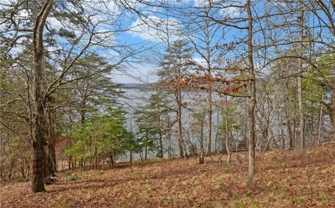 2290 Boy Scout Camp Road