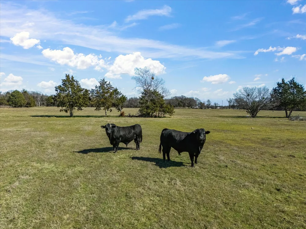 11095 E State Highway 31 Kerens, TX 75144