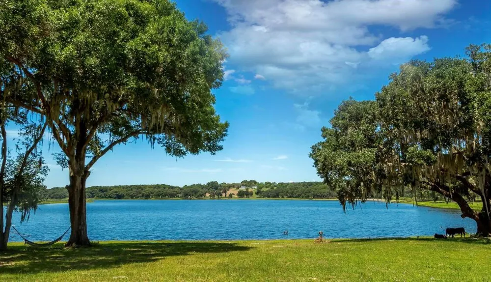 34710 CLAYTON ROAD #13 Dade City, FL 33523