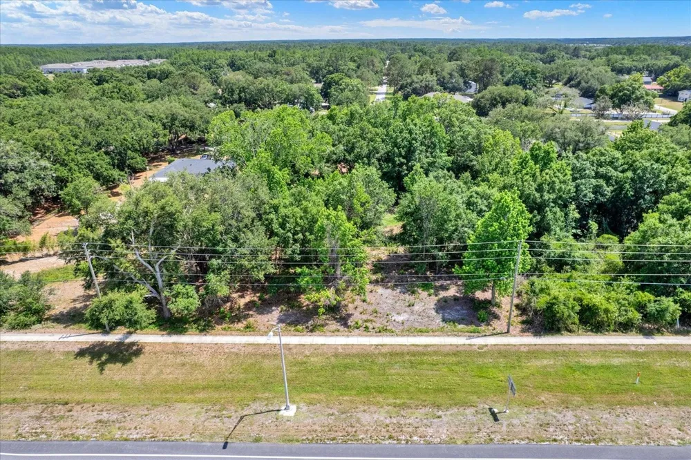 STATE ROAD 54 Lutz, FL 33558