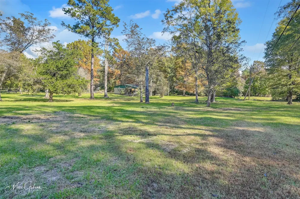 135 Poverty Point Doyline, LA 71023