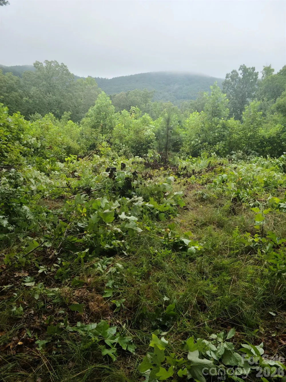 0 Osprey Lane Nebo, NC 28761